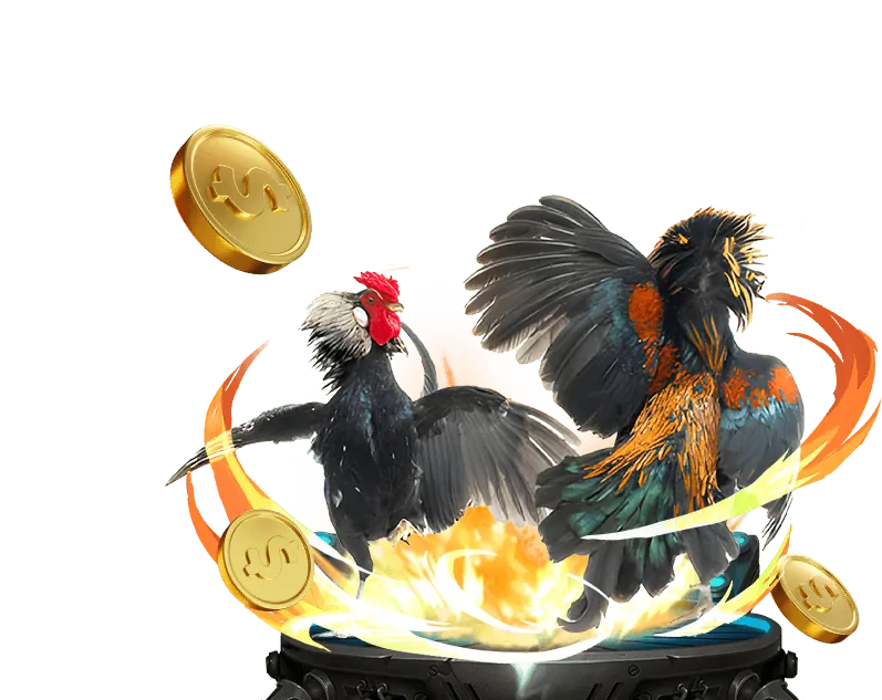 Giao diện cá cược trực tiếp với tỷ lệ cược thay đổi